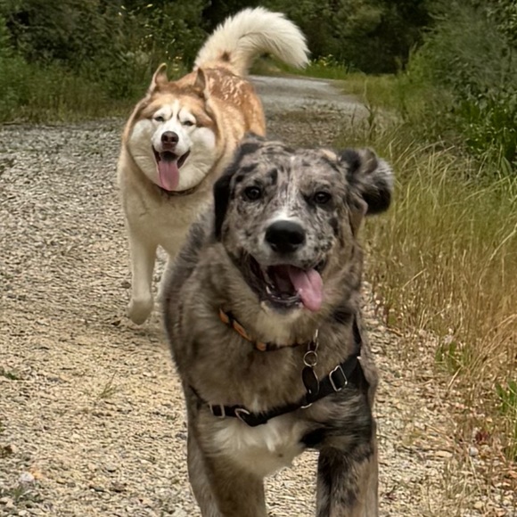 Meet your Poshers, Rob and Aly! - Picture 5 of 7